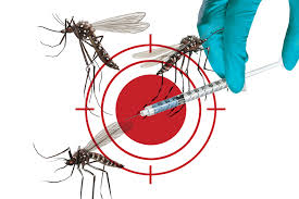 Espírito Santo já registrou 31 mil casos de dengue em 2025