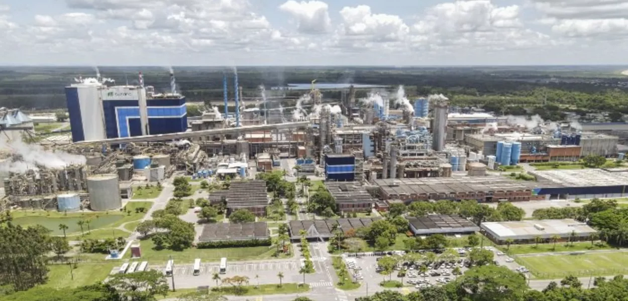 Suzano alerta para colapso no mercado global de celulose