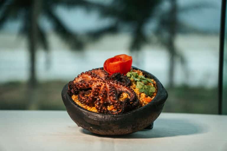 Festival Sabores da Praia mistura música e gastronomia em Fundão