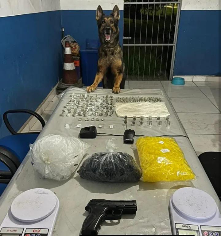 K9 do 5º BPM apreende grande quantidade de drogas em Fundão