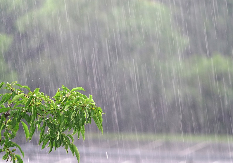Aracruz entre as cidades que mais choveu no ES em 24h
