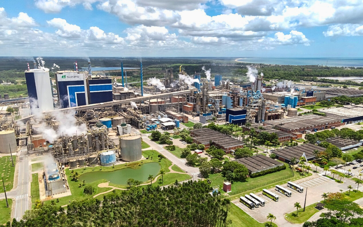 Papel higiênico feito em Aracruz estreia embalagem exclusiva