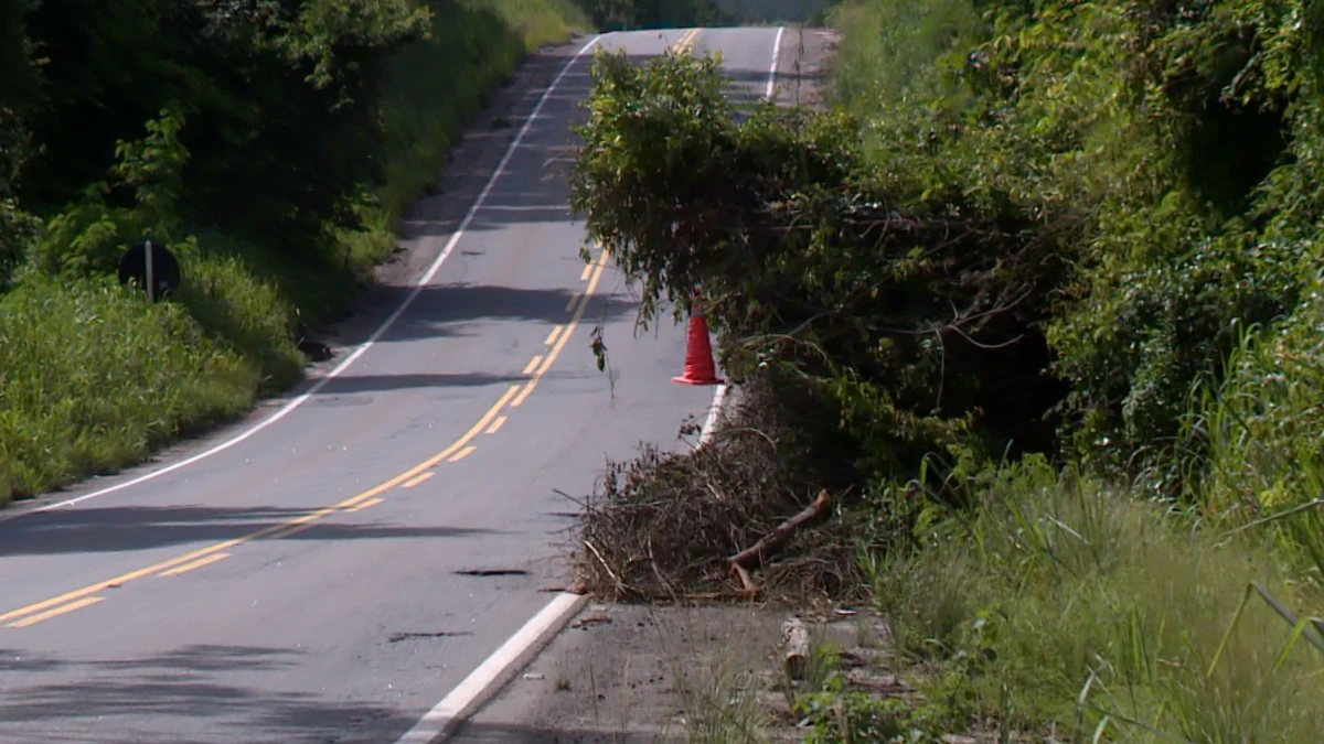 Motoristas reclamam de buracos e mato alto na ES 445 em Aracruz