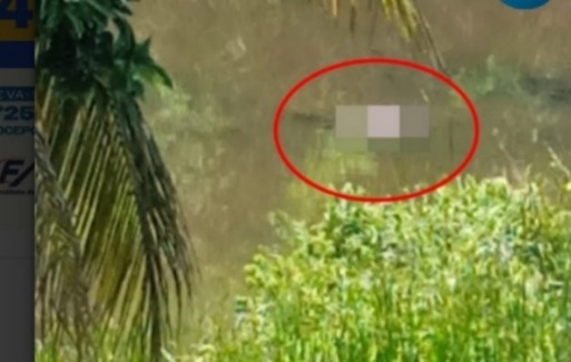 Corpo em decomposição é encontrado boiando no rio São José, em Jacupemba, Aracruz