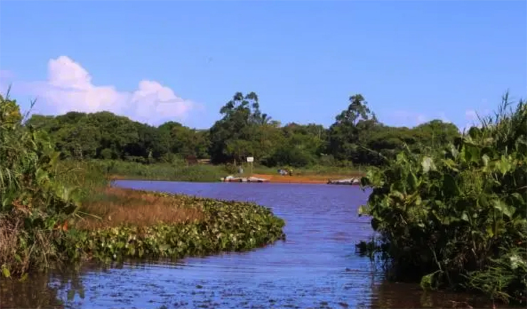 Indígenas pedem à Ufes para analisar água do Rio Comboios, contaminado após crime ambiental da Samarco