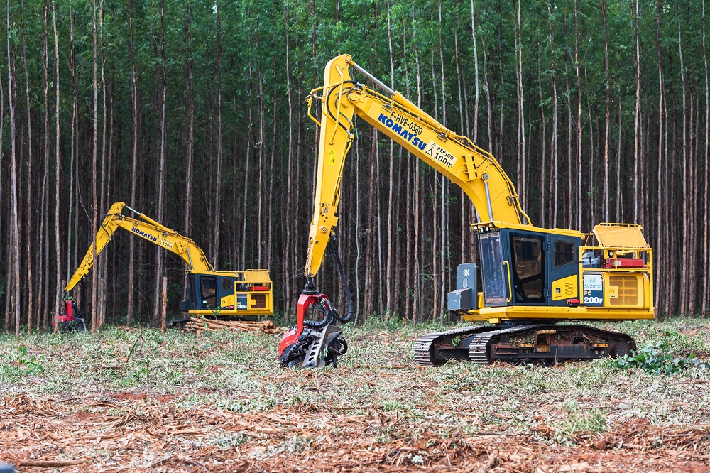 Suzano abre inscrições para formação remunerada de operadores de máquinas florestais trainee em Aracruz