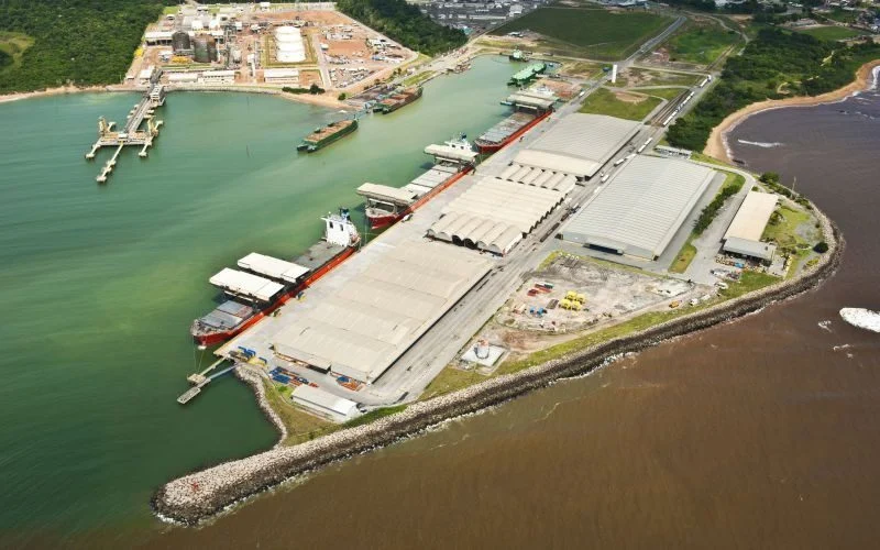 Portocel amplia investimentos e quer dobrar de tamanho até 2035