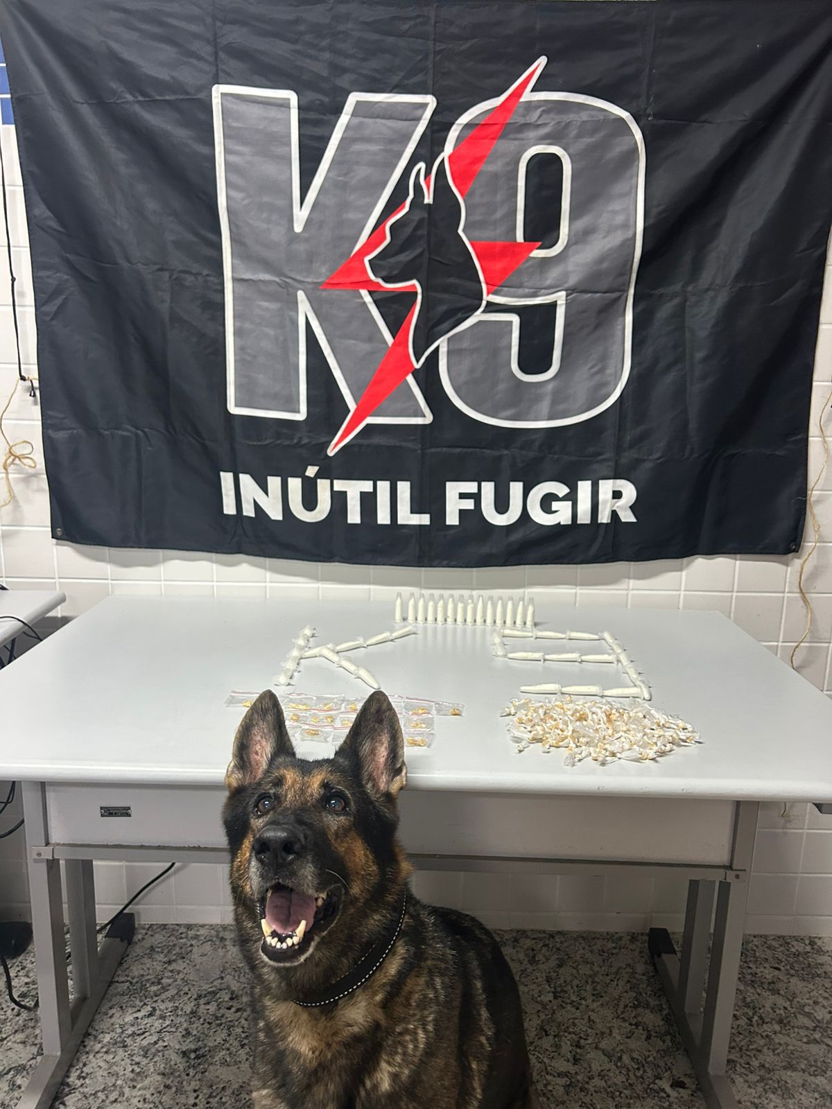 Polícia Militar realiza apreensão de drogas em Barra do Riacho