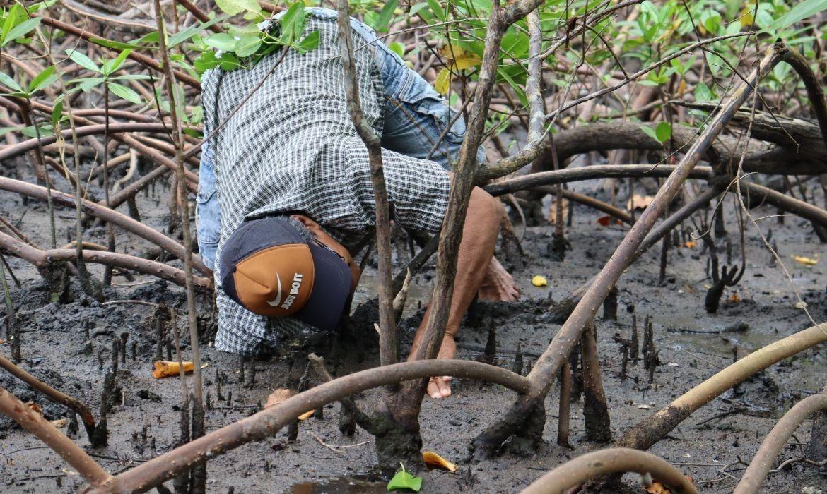 Cadastro para o Projeto Vida no Mangue 2026 tem início no dia 19 de maio