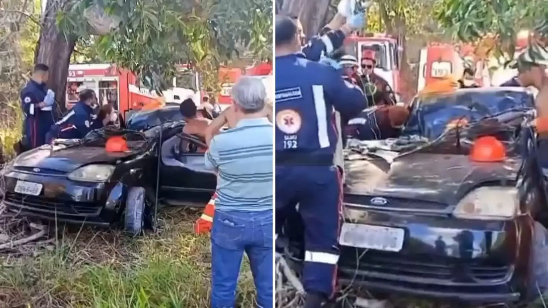 Motorista fica ferido após colidir contra árvore em Aracruz