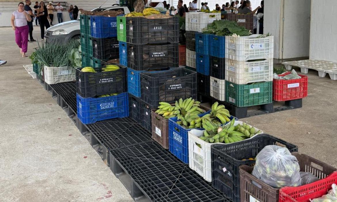 Compra Direta de Alimentos amplia atendimento e prevê cerca de 230 Cestas Verdes por mês