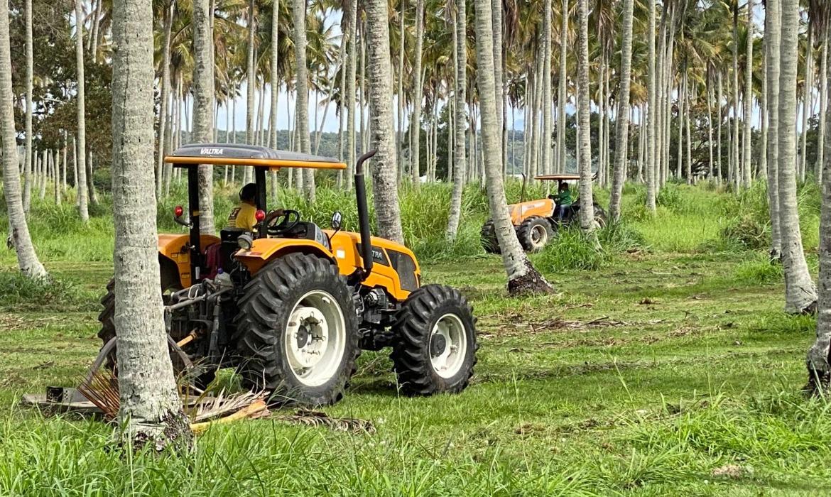 Secretaria de Serviços Urbanos de Aracruz mantém o cronograma da limpeza urbana